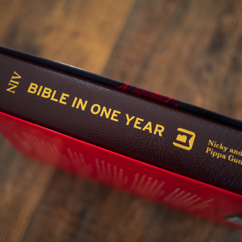 Бумажная книга «NIV Bible in One Year with Commentary by Nicky and Pippa Gumbel», автор Ники Гамбель - фото №5 - миниатюра