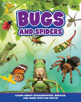 Бумажная книга «Bugs and Spiders» - фото №2 - миниатюра