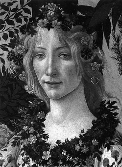 Бумажная книга «Botticelli», автор Лионелло Вентури - фото №1 - миниатюра
