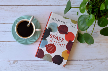 Бумажная книга «A Spark of Light», автор Джоди Пиколт - фото №3 - миниатюра