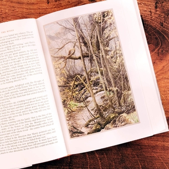 Бумажная книга «The Fellowship of the Ring», автор Джон Р. Р. Толкин - фото №9 - миниатюра