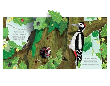 Бумажная книга «Pop-Up Nature», автор Анна Милборн - фото №2 - миниатюра