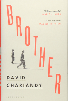 Паперова книга «Brother», автор Девід Чаріанді - фото №1 - мініатюра