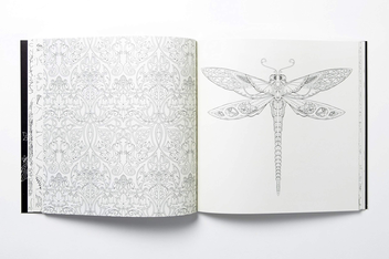 Бумажная книга «Enchanted Forest. An Inky Quest and Colouring Book», автор Джоанна Басфорд - фото №9 - миниатюра
