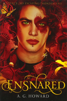 Паперова книга «Ensnared», автор А. Г. Говард - фото №1 - мініатюра