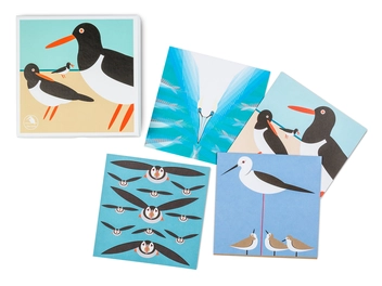 Паперова книга «I Like Birds: Oyster Catcher Boxed Notecards» - фото №2 - мініатюра