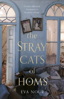 Бумажная книга «The Stray Cats of Homs», автор Ева Нур - фото №1 - миниатюра