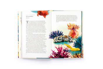Бумажная книга «Around the Ocean in 80 Fish and other Sea Life», автор Хелен Скейлс - фото №7 - миниатюра