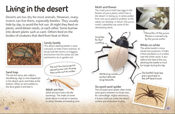 Бумажная книга «Insects and Spiders. Explore Nature with Fun Facts and Activities » - фото №5 - миниатюра
