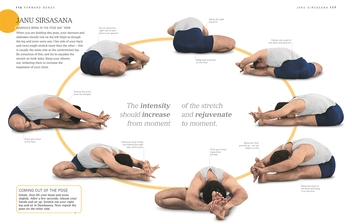 Бумажная книга «BKS Iyengar Yoga The Path to Holistic Health», автор Б. К. С. Айенгар - фото №5 - миниатюра