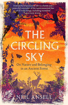 Паперова книга «The Circling Sky. On Nature and Belonging in an Ancient Forest», автор Ніл Анселл - фото №1 - мініатюра