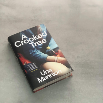 Бумажная книга «A Crooked Tree», автор Уна Мэннион - фото №3 - миниатюра