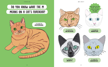 Паперова книга «I Touched a Cat and I Liked it», автор Анна Бландфорд - фото №11 - мініатюра