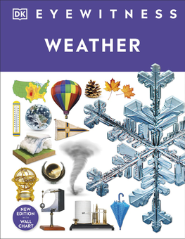 Бумажная книга «Weather» - фото №1 - миниатюра