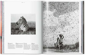 Бумажная книга «National Geographic. Around the World in 125 Years. Africa», автор Джо Йогерст - фото №5 - миниатюра