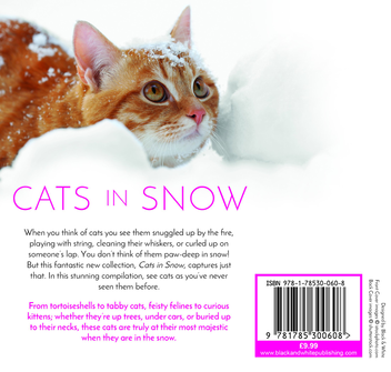 Паперова книга «Cats in Snow», автор Х'юго Рос - фото №2 - мініатюра