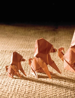 Бумажная книга «Outside the Box Origami», автор Скотт Вассерман Стерн - фото №3 - миниатюра