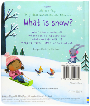 Бумажная книга «What is Snow?», автор Кэйти Дэйнс - фото №2 - миниатюра
