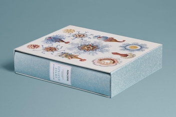 Paper book «The Art and Science of Ernst Haeckel», author Julia Voss - фото №2 - миниатюра
