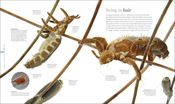 Бумажная книга «Micro Life» - фото №6 - миниатюра