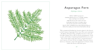 Бумажная книга «The Little Guide to Leaves» - фото №4 - миниатюра