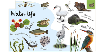 Бумажная книга «My First Nature Let's Go Exploring» - фото №6 - миниатюра