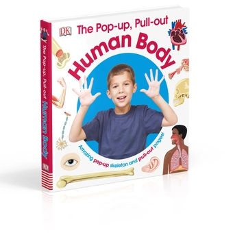 Бумажная книга «The Pop-Up, Pull Out Human Body» - фото №3 - миниатюра