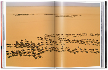 Бумажная книга «National Geographic. Around the World in 125 Years. Africa», автор Джо Йогерст - фото №6 - миниатюра