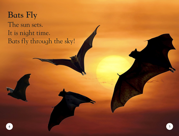 Паперова книга «All About Bats. Explore the World of Bats!», автор Керін Дженнер - фото №4 - мініатюра