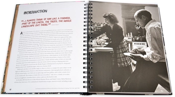 Паперова книга «Dinner with Jackson Pollock. Recipes, Art & Nature », авторів Робін Лі, Франческа Поллок, Гелен А. Гаррісон - фото №16 - мініатюра