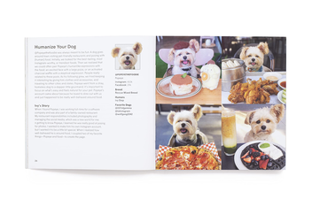 Бумажная книга «How To Make Your Dog #Famous. A Guide to Social Media and Beyond», автор Лони Эдвардс - фото №8 - миниатюра