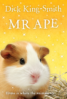 Паперова книга «Mr Ape», автор Дік Кінг-Сміт - фото №1 - мініатюра