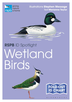 Бумажная книга «RSPB ID Spotlight. Wetland Birds», автор Марианна Тейлор - фото №1 - миниатюра