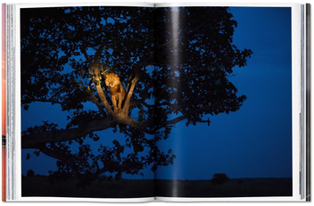 Бумажная книга «National Geographic. Around the World in 125 Years. Africa», автор Джо Йогерст - фото №7 - миниатюра
