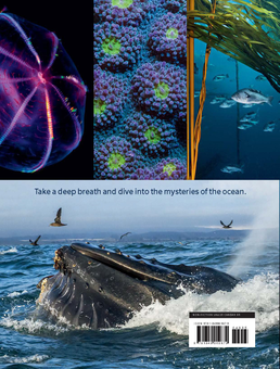 Бумажная книга «Blue Planet II», авторов Джеймс Ханиборн, Марк Браунлоу - фото №2 - миниатюра