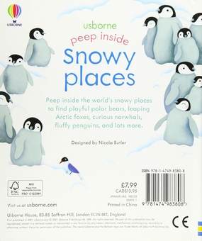 Паперова книга «Peep Inside Snowy Places», автор Анна Мілборн - фото №2 - мініатюра