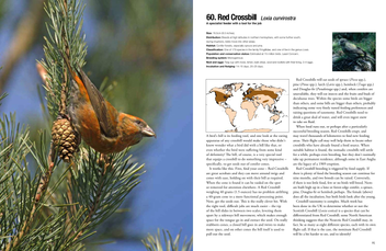 Бумажная книга «100 Birds to See in Your Lifetime: The Ultimate Wish-list for Birders Everywhere», автор Дэвид Чандлер - фото №7 - миниатюра