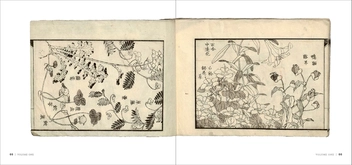 Бумажная книга «Hokusai's Lost Manga», автор Сара Томпсон - фото №3 - миниатюра