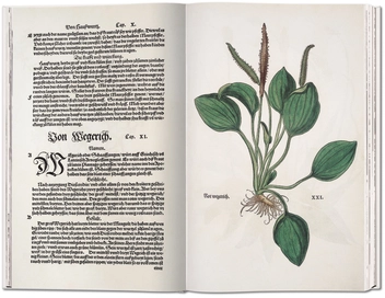 Бумажная книга «Leonhart Fuchs: The New Herbal of 1543», автор Вернер Дрессендорфен - фото №3 - миниатюра