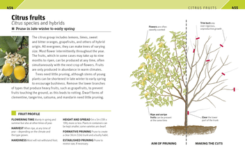 Паперова книга «RHS Pruning Plant by Plant. How to Prune more than 200 Popular Plants» - фото №2 - мініатюра
