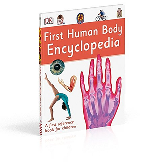 Паперова книга «First Human Body Encyclopedia» - фото №2 - мініатюра