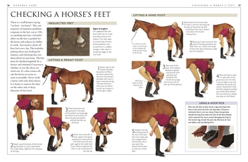 Бумажная книга «Complete Horse Care Manual», автор Вогел Колин - фото №3 - миниатюра