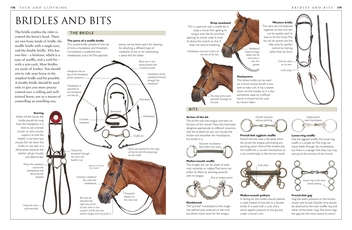 Бумажная книга «Complete Horse Care Manual», автор Вогел Колин - фото №5 - миниатюра