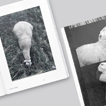 Бумажная книга «Formafantasma», авторов Андреа Тримарчи, Симоне Фаррезин - фото №10 - миниатюра
