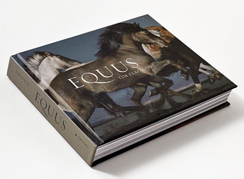 Бумажная книга «Equus (Mini)», автор Тим Флэк - фото №3 - миниатюра
