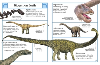 Бумажная книга «Big Book of Dinosaurs» - фото №4 - миниатюра