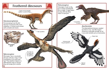 Бумажная книга «Big Book of Dinosaurs» - фото №2 - миниатюра
