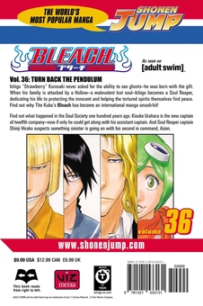 Паперова книга «Bleach. Volume 36», автор Тайто Кубо - фото №2 - мініатюра