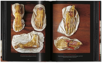 Бумажная книга «Anatomical Waxes», автор Марта Поггеси - фото №9 - миниатюра