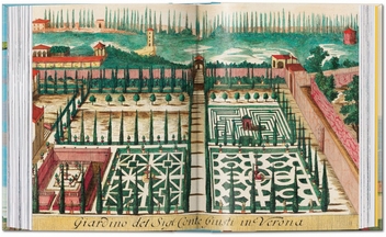 Бумажная книга «J. C. Volkamer. The Book of Citrus Fruits», автор Айрис Лаутербах - фото №9 - миниатюра